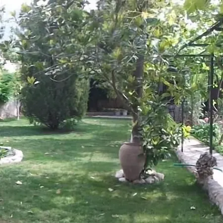 Cappadocia Hotel Cedit