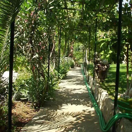 Cappadocia Hotel Cedit